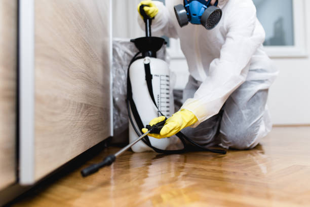 Best Ant Control Services  in Bushnell, FL