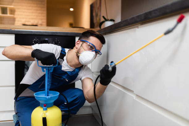 Best Local Pest Control Services  in Bushnell, FL