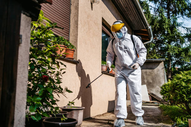 Best Emergency Pest Control  in Bushnell, FL