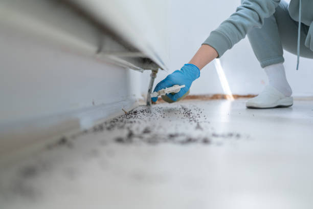 Best Pest Inspection Near Me  in Bushnell, FL